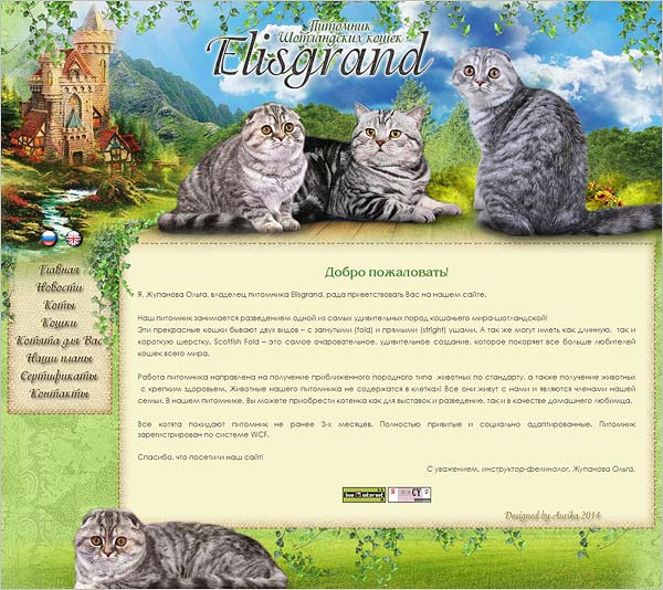 Новый сайт!