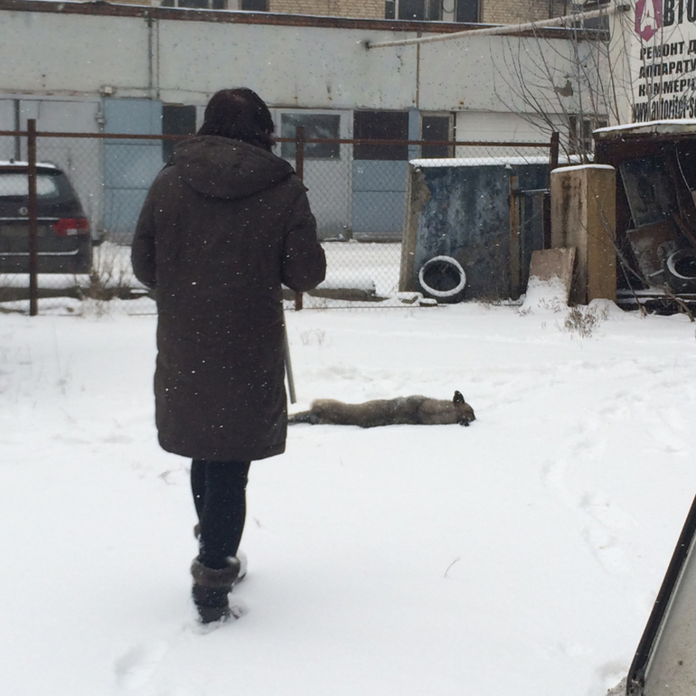 СОС!МОСКВА,ОТЗОВИСЬ!ПОБЕДА!!!ОПЕРАЦИЯ СПАСЕНИЯ ЗАВЕРШЕНА!НО ПОМОЩЬ ЕЩЕ НУЖНА!!!