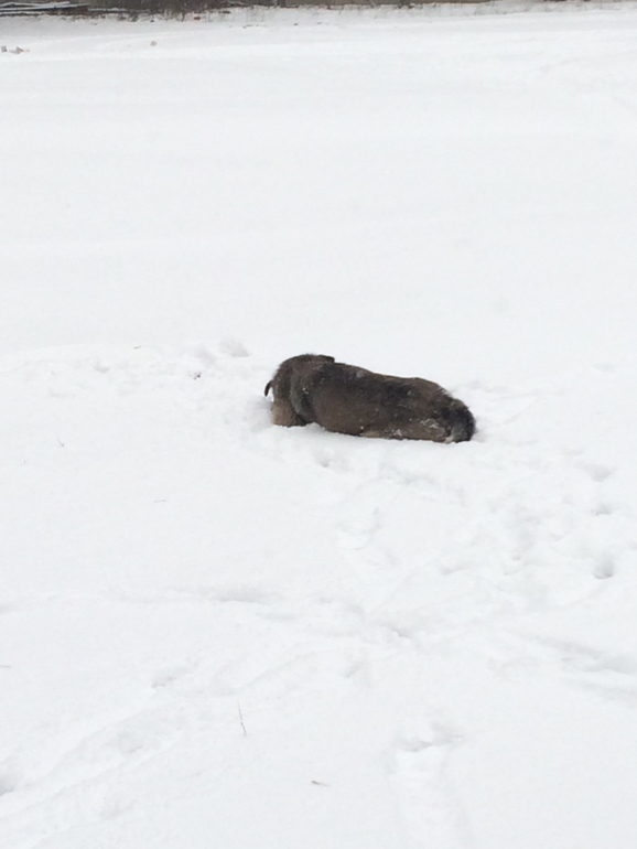СОС!МОСКВА,ОТЗОВИСЬ!ПОБЕДА!!!ОПЕРАЦИЯ СПАСЕНИЯ ЗАВЕРШЕНА!НО ПОМОЩЬ ЕЩЕ НУЖНА!!!