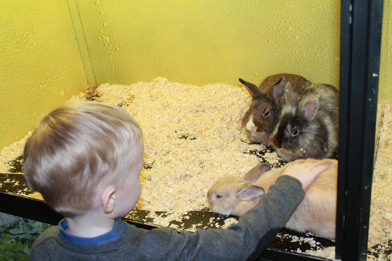 Прогулки весенние...