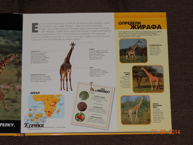 Дикие животные. Серия