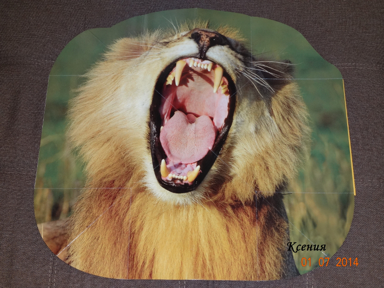 Дикие животные. Серия