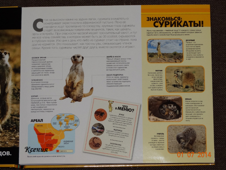 Дикие животные. Серия