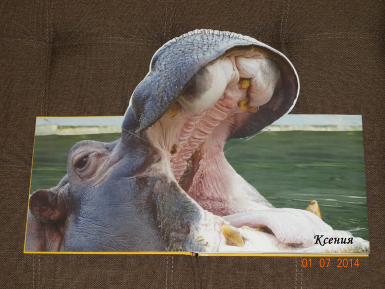 Дикие животные. Серия