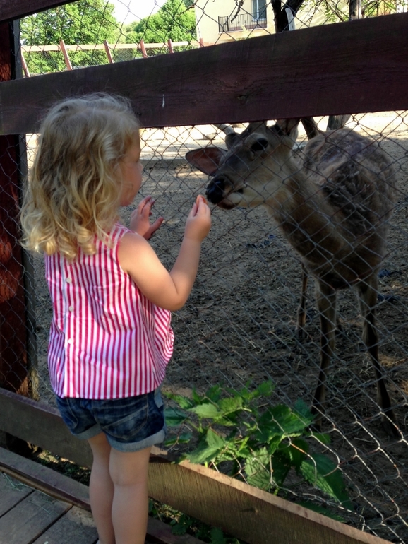 Лето в городе