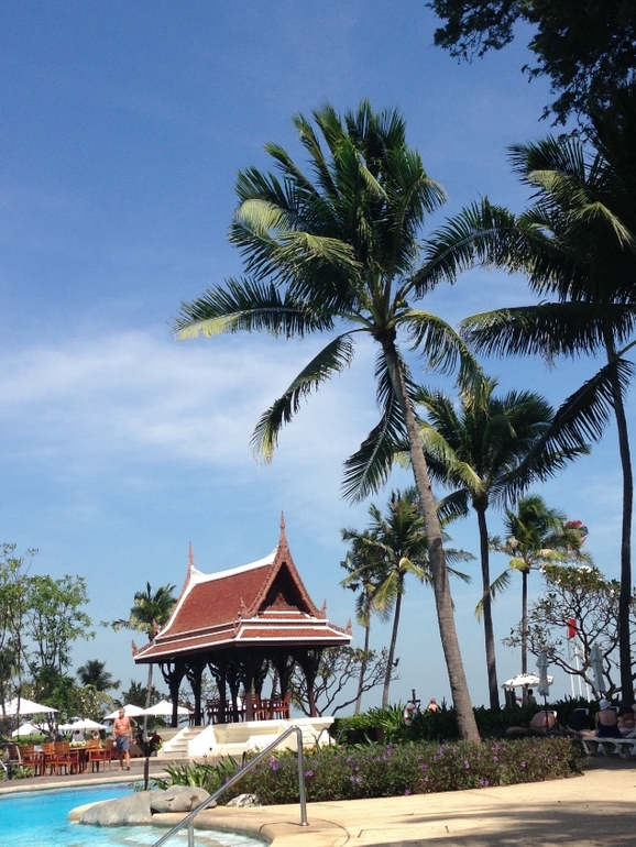 Hua отзывы. хуа чен юй. Hua отзывы. тренажер мини-степпер xiaomi shua house sports stepper (sh-w-5083). хуа хуа певец.