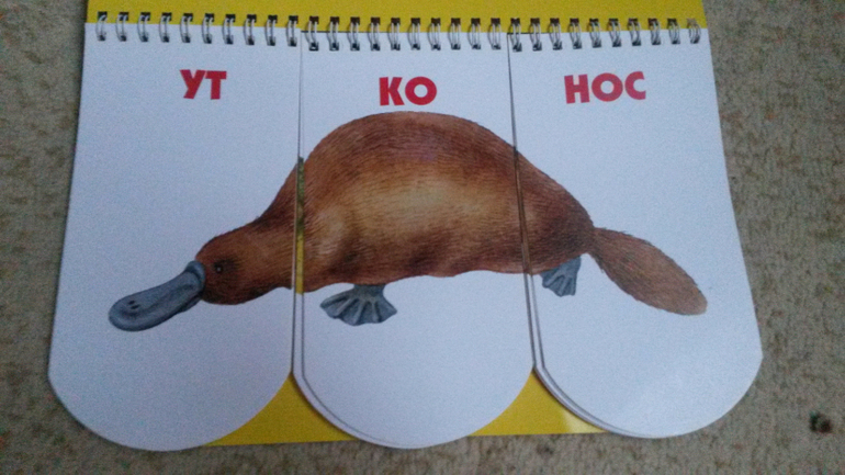 интересная книжечка