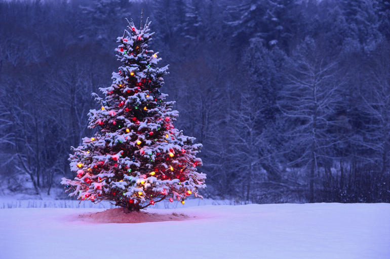 вот смотрю я на всех, смотрю...