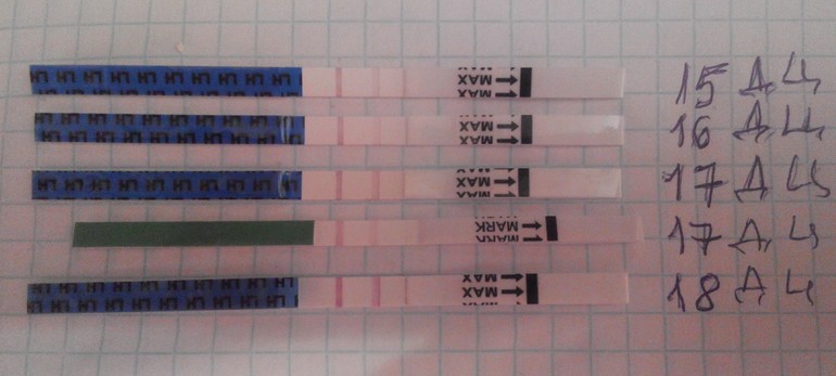 была ли овуляция?