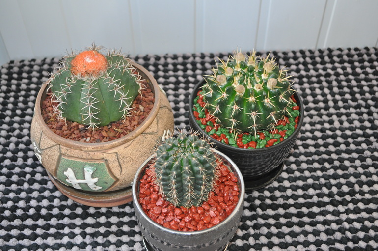 Что мы имеем на сегодняшний день:)