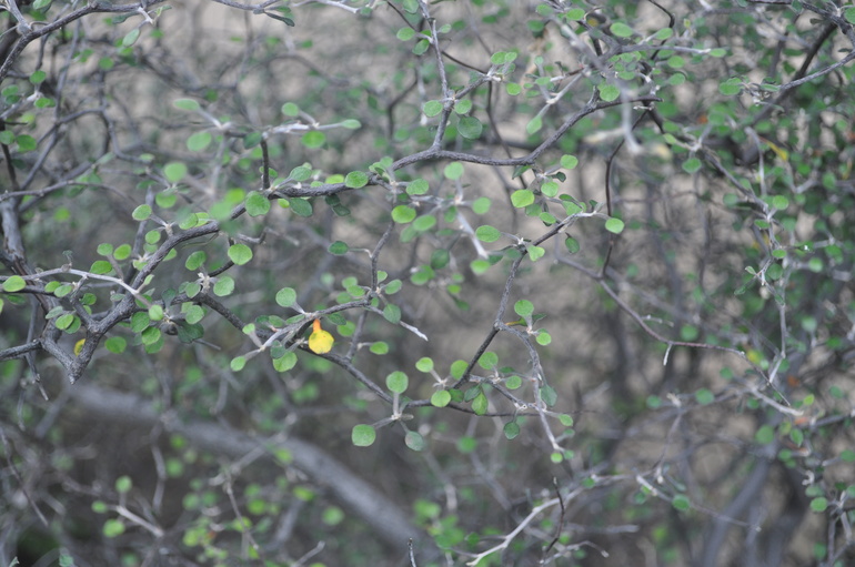 Для хорошего настроения:)