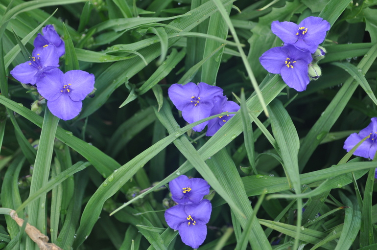 Для хорошего настроения:)