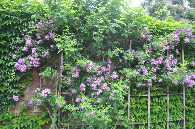 Для хорошего настроения:)