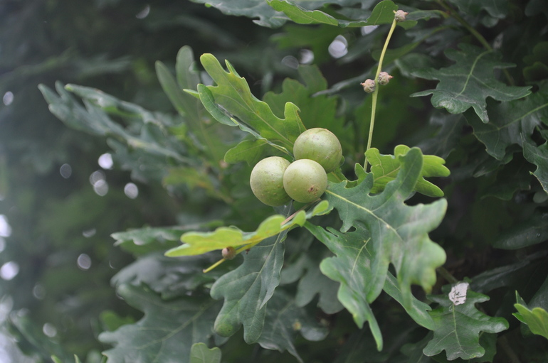 Для хорошего настроения:)