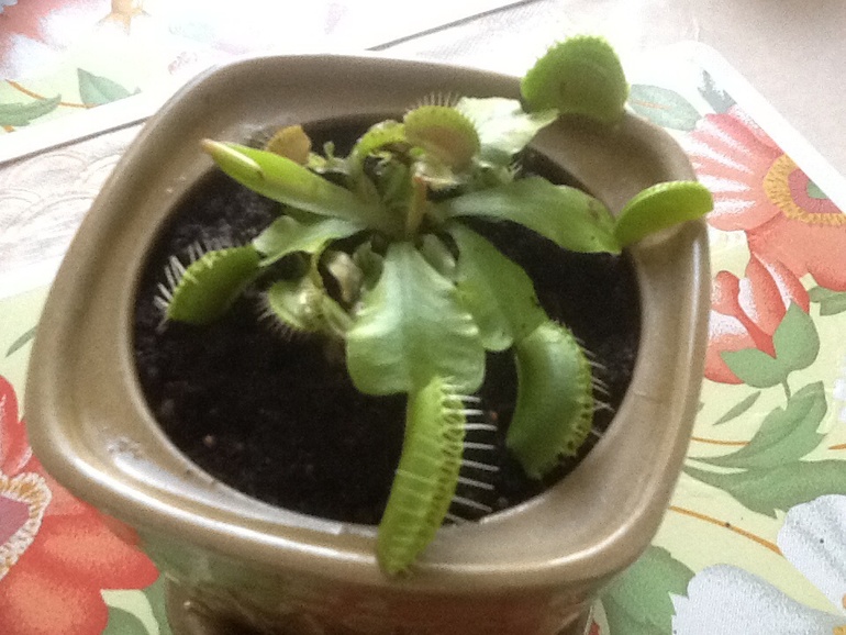 Обновочки:)