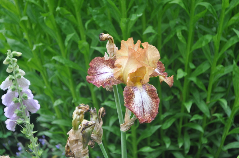 Для хорошего настроения:)