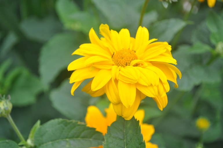 Для хорошего настроения:)