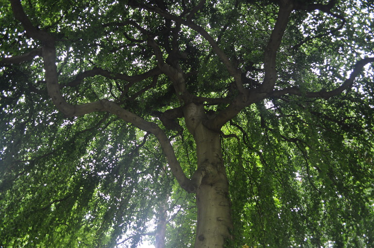 Для хорошего настроения:)