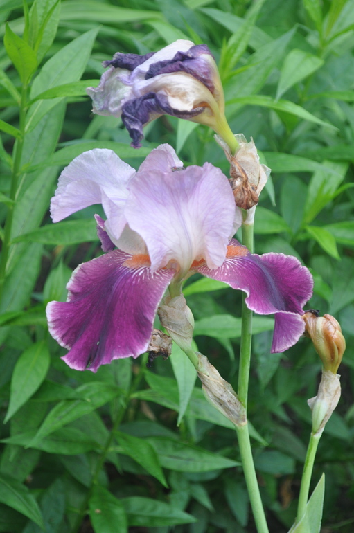 Для хорошего настроения:)