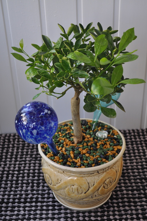 Что мы имеем на сегодняшний день:)