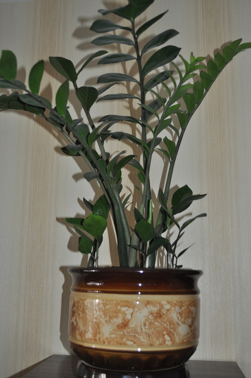 Что мы имеем на сегодняшний день:)