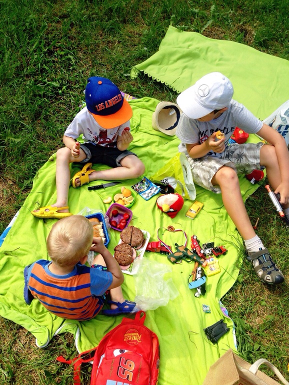 Дети на пикнике: