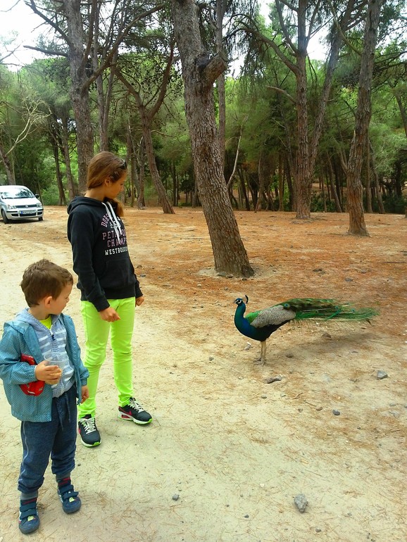 Как мы провели майские праздники на о. Кос (сто фото)) осторожно!)