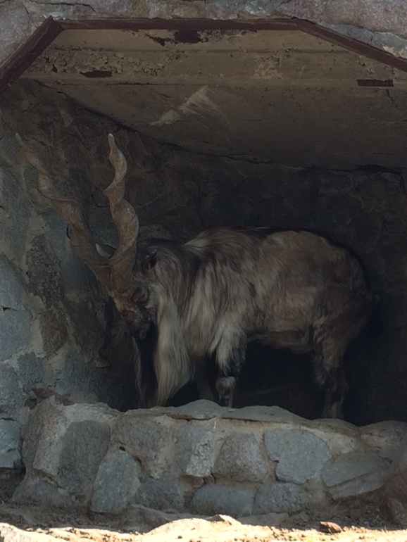 Христос Воскресе!!!