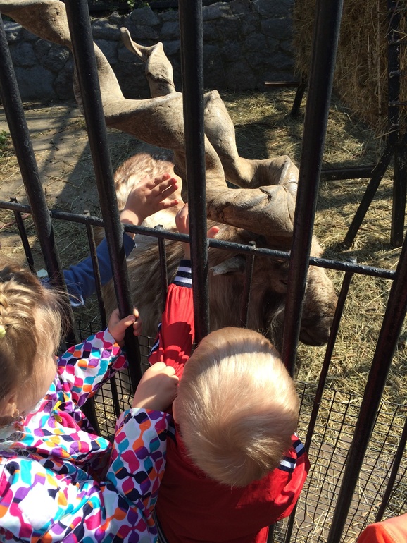 Христос Воскресе!!!