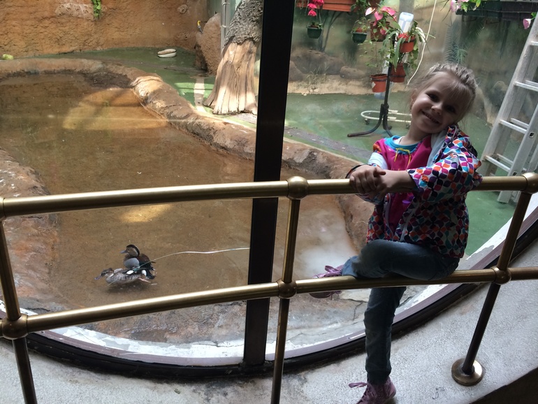 Христос Воскресе!!!