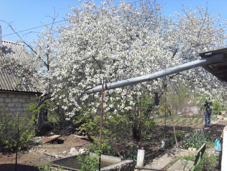 Крым моими глазами (семейные фото)