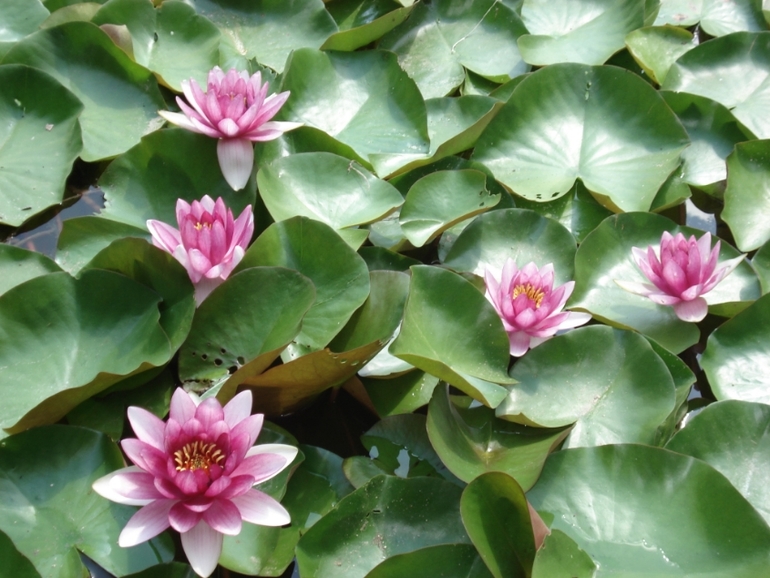 Крым моими глазами (семейные фото)