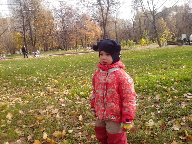 золотая осень