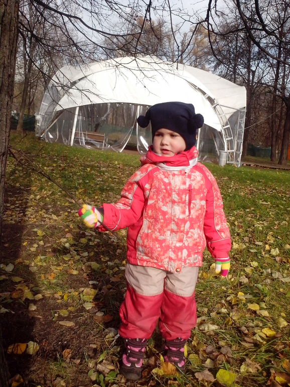 золотая осень