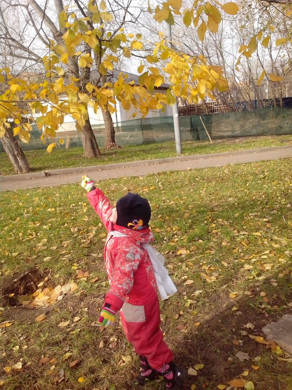 золотая осень