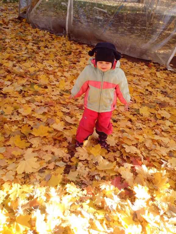 золотая осень