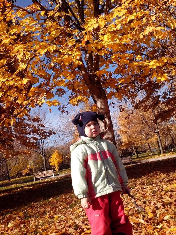 золотая осень