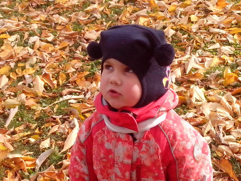 золотая осень