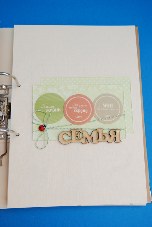 Портфолио для первоклассника (папка кожзам)