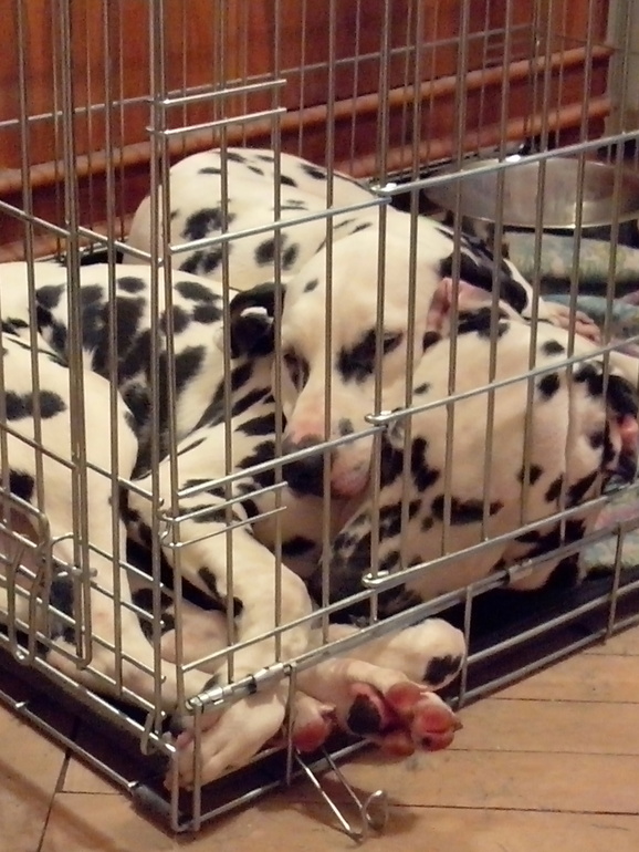 ...и что они сделали со своей свободой? - стали рабами... (с)