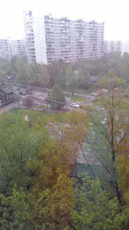 Москвичи,здравствуй лето!))