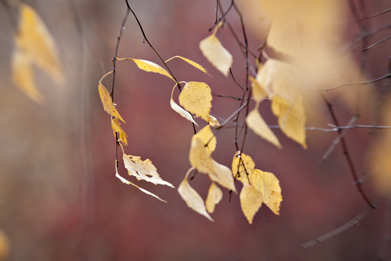 просто так....