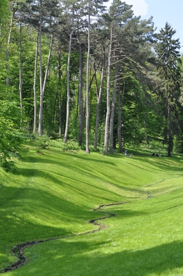 Лучший в мире Лимонад! или Майская Софиевка