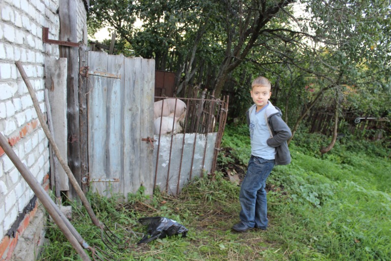 Свинки )