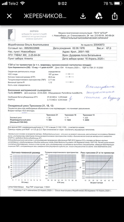 Результаты 1 скрининга форум. Результат биохимического скрининга 1 триместра нормы. Сроки проведения первого скрининга. Протокол узи скрининга 1 триместра. Скрининг astraia расшифровка 1 триместра.