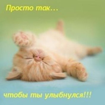 68e80d795cca07c027e01f38fca17e2d.jpg