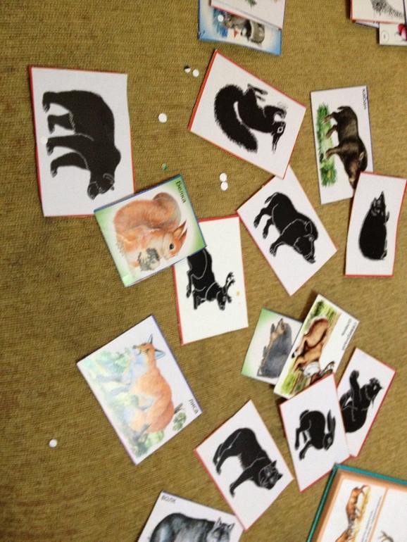 ТЗ Дикие животные