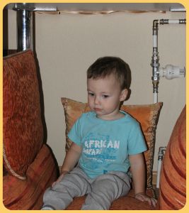 ТН Домашние животные, день 4 - Собака