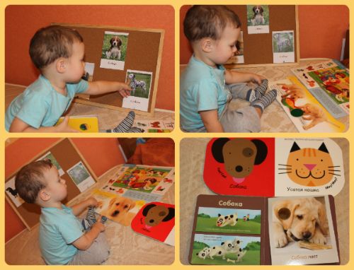 ТН Домашние животные, день 4 - Собака