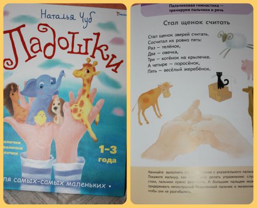 ТН Домашние животные, день 4 - Собака